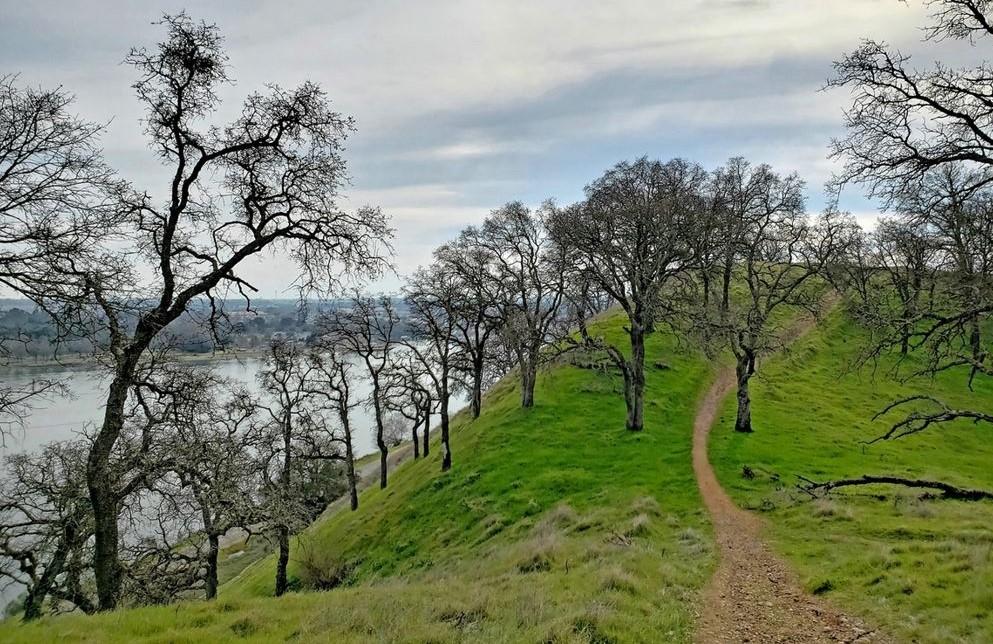 Folsom Lake SRA - Middle Ridge Trail